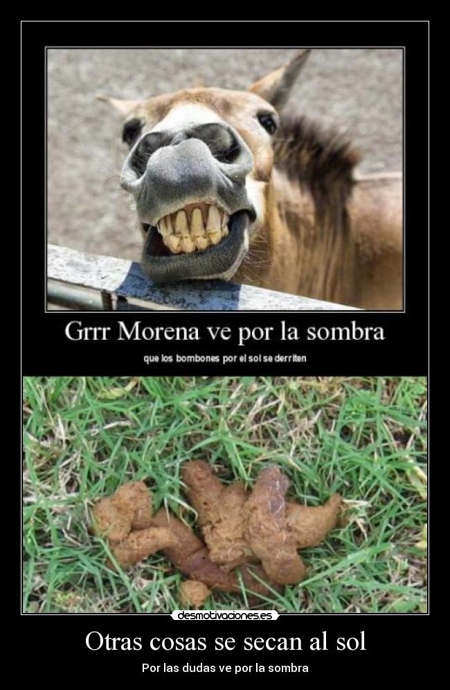 Otras cosas se secan al sol - 