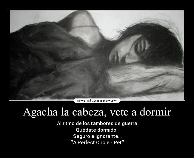 Agacha la cabeza, vete a dormir - Al ritmo de los tambores de guerra
Quédate dormido
Seguro e ignorante...
A Perfect Circle - Pet