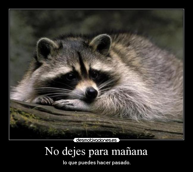 No dejes para mañana - lo que puedes hacer pasado.