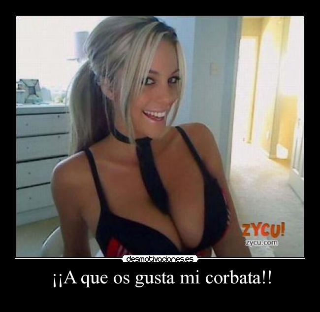 porno prostitutas reales putas cerca de mi porno prostitutas reales putas cerca de mi