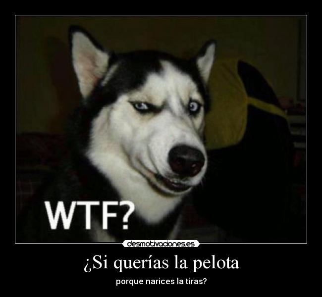 ¿Si querías la pelota -