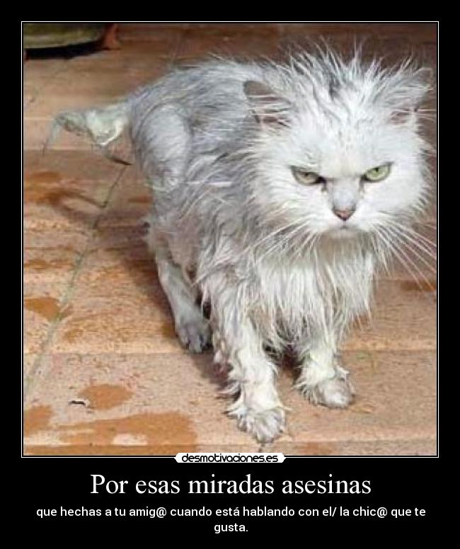 Por esas miradas asesinas - que hechas a tu amig@ cuando está hablando con el/ la chic@ que te gusta.