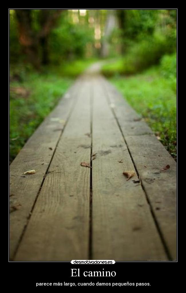 El camino -
