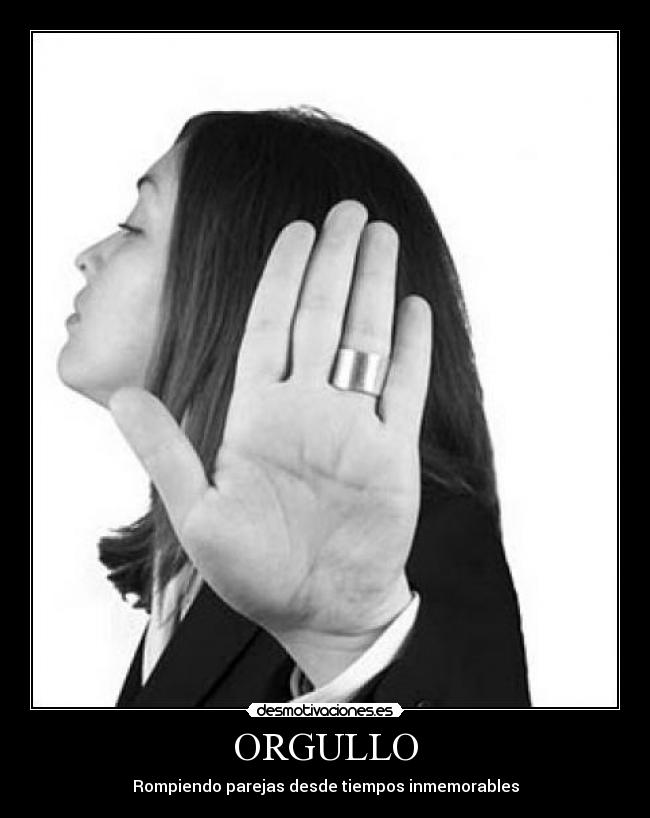 carteles orgullo desmotivaciones