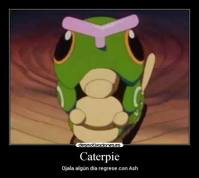 Caterpie - Ojala algún día regrese con Ash