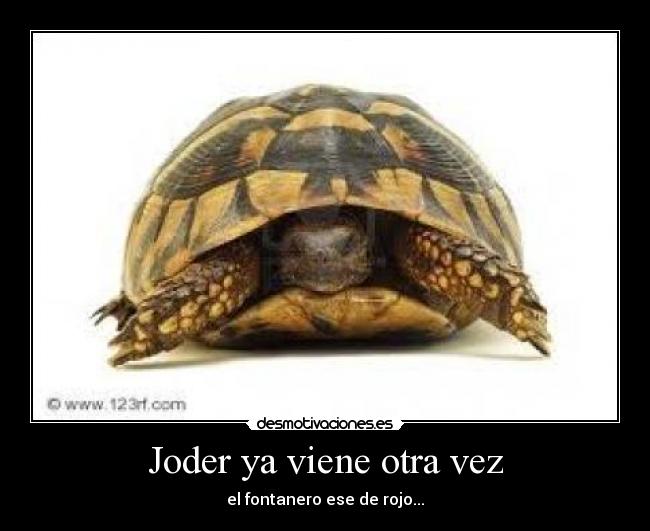 Joder ya viene otra vez - el fontanero ese de rojo...