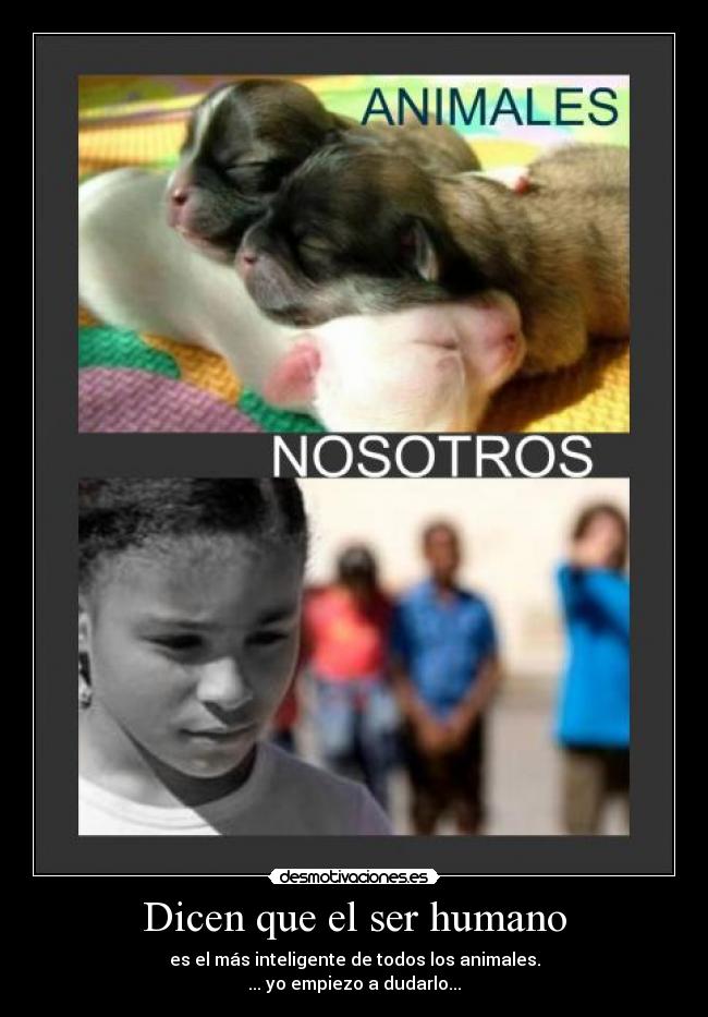 Dicen que el ser humano -