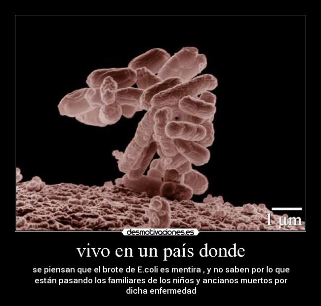 vivo en un país donde - se piensan que el brote de E.coli es mentira , y no saben por lo que
están pasando los familiares de los niños y ancianos muertos por
dicha enfermedad