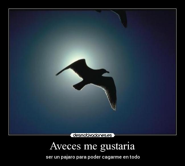 Aveces me gustaria - ser un pajaro para poder cagarme en todo