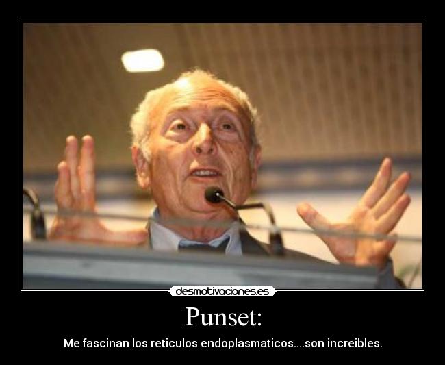 Punset: - 