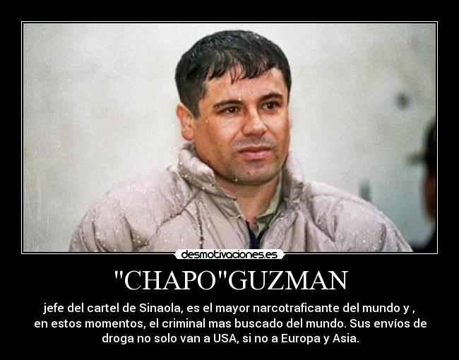 CHAPOGUZMAN - jefe del cartel de Sinaola, es el mayor narcotraficante del mundo y ,
en estos momentos, el criminal mas buscado del mundo. Sus envíos de
droga no solo van a USA, si no a Europa y Asia.