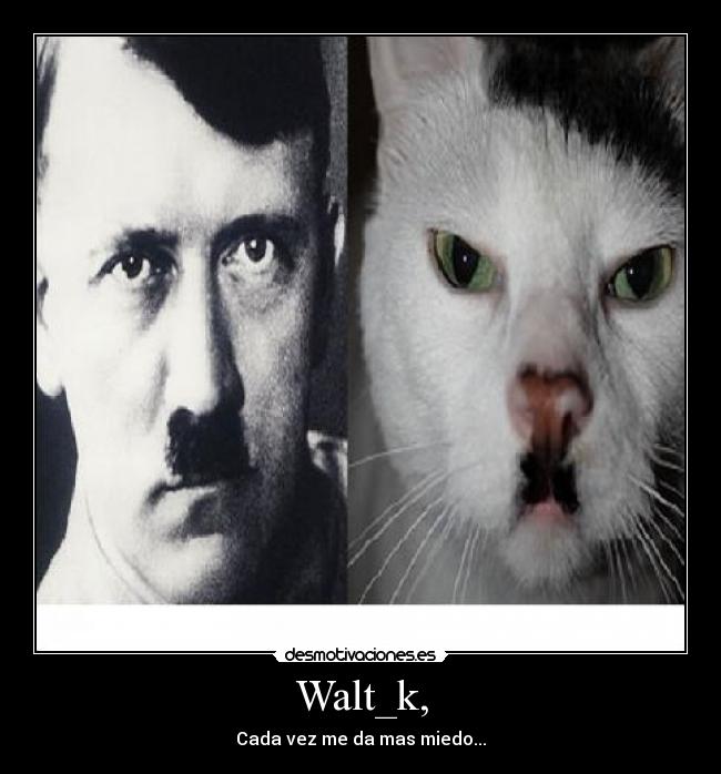 Walt_k, - Cada vez me da mas miedo...