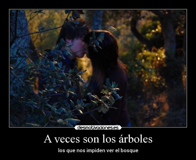 A veces son los árboles - los que nos impiden ver el bosque