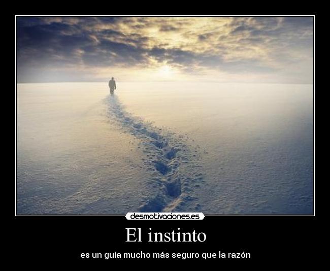 El instinto - 