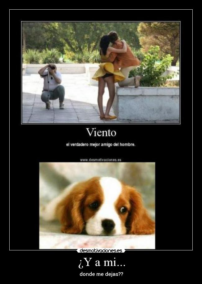 ¿Y a mi... -