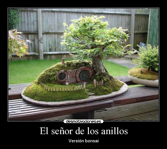 El señor de los anillos -