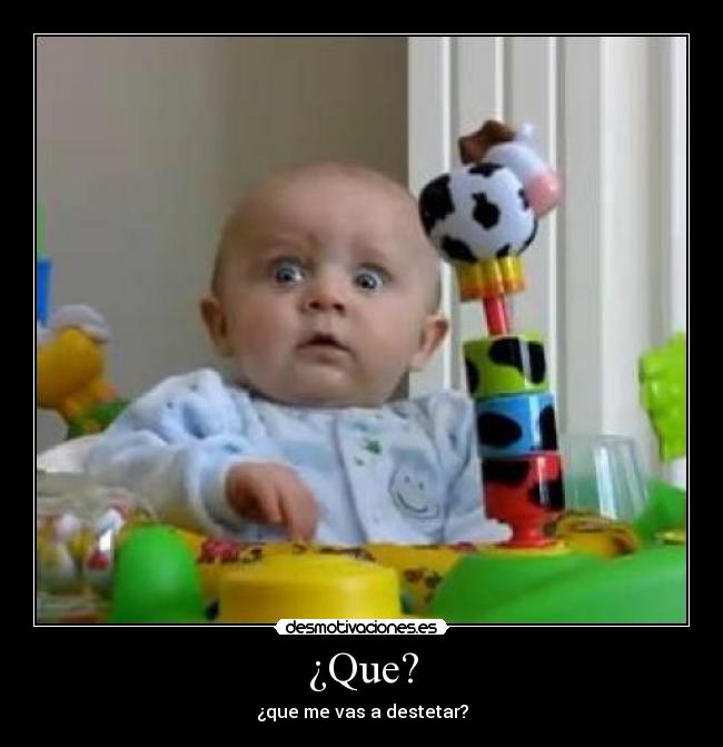 ¿Que? - ¿que me vas a destetar?