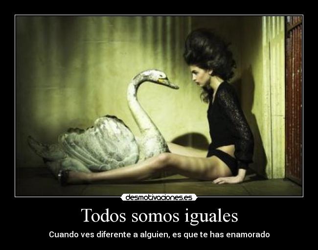 Todos somos iguales - Cuando ves diferente a alguien, es que te has enamorado