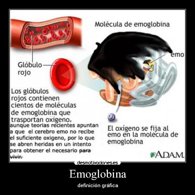 Emoglobina - definición gráfica