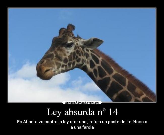 Ley absurda nº 14 - En Atlanta va contra la ley atar una jirafa a un poste del teléfono o a una farola