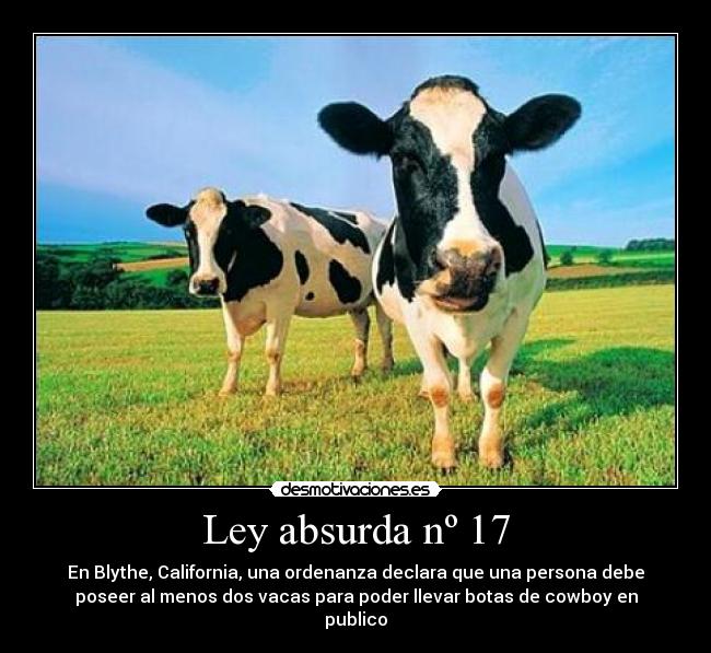 Ley absurda nº 17 - En Blythe, California, una ordenanza declara que una persona debe
poseer al menos dos vacas para poder llevar botas de cowboy en
publico