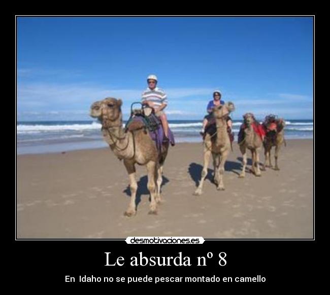 Le absurda nº 8 - En  Idaho no se puede pescar montado en camello
