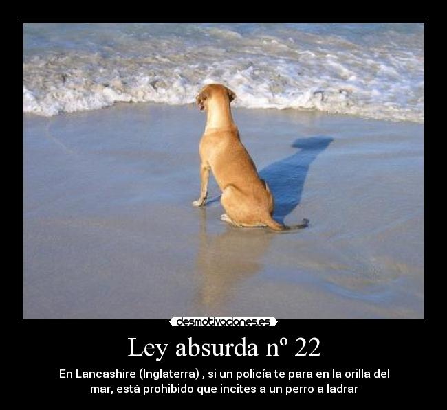 Ley absurda nº 22 - En Lancashire (Inglaterra) , si un policía te para en la orilla del
mar, está prohibido que incites a un perro a ladrar