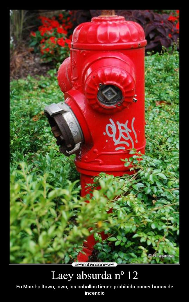 Laey absurda nº 12 - En Marshalltown, Iowa, los caballos tienen prohibido comer bocas de incendio