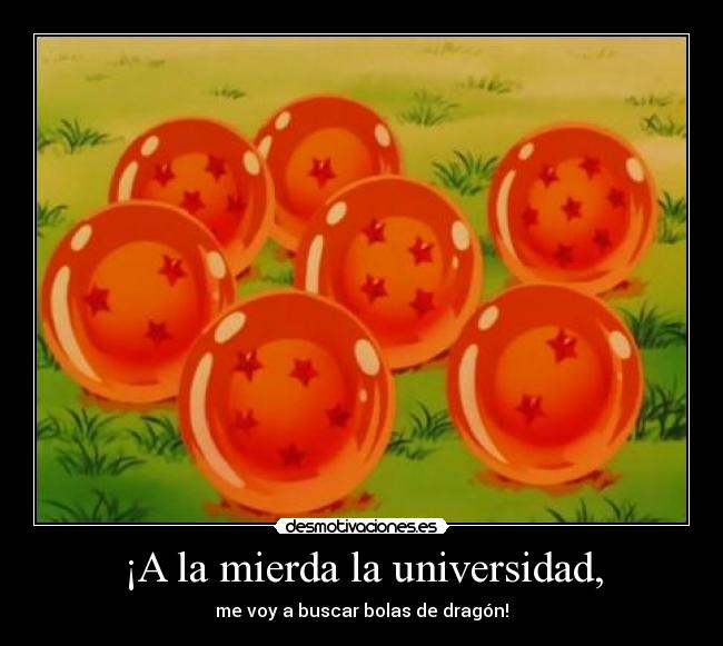 ¡A la mierda la universidad, - me voy a buscar bolas de dragón!