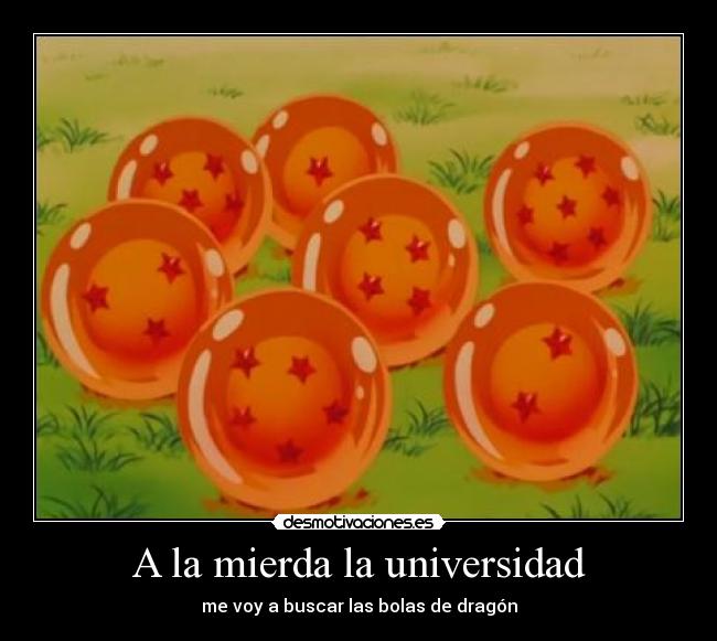 A la mierda la universidad -