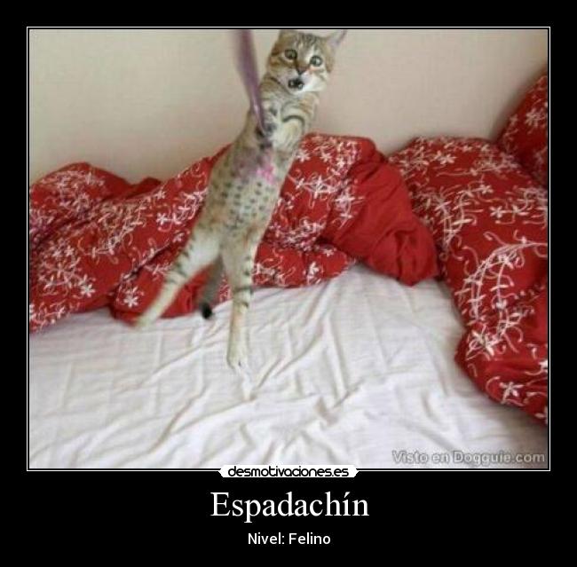 Espadachín - 