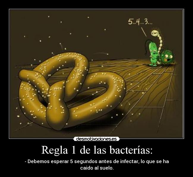 Regla 1 de las bacterías: -