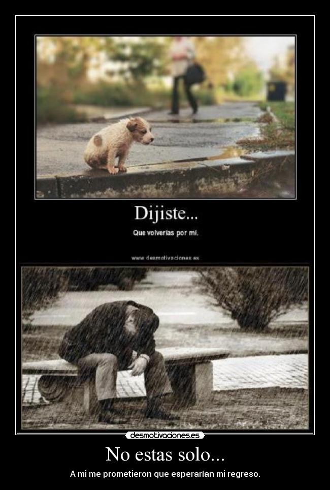 No estas solo... - A mi me prometieron que esperarían mi regreso.