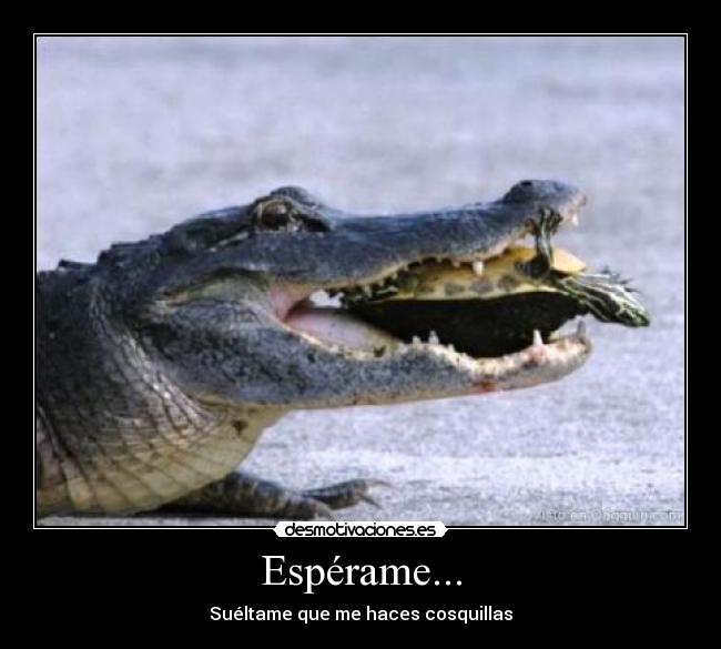 Espérame... - Suéltame que me haces cosquillas