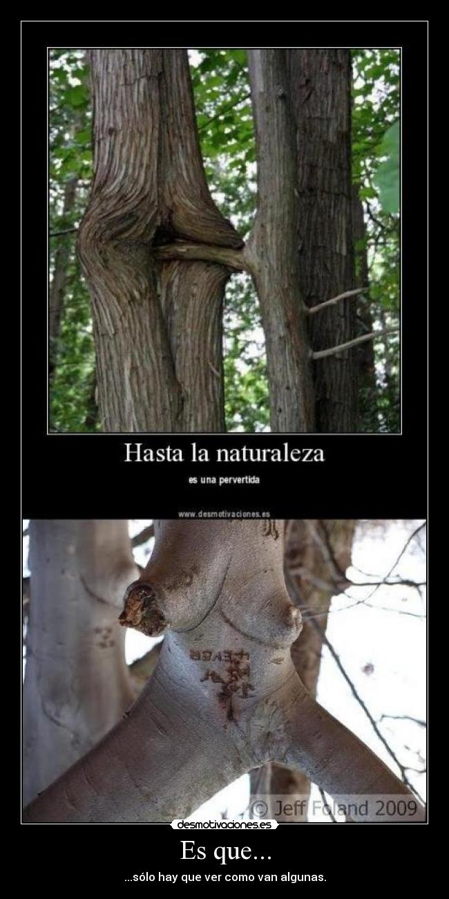 Es que... - ...sólo hay que ver como van algunas.