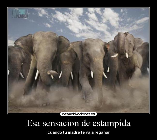 Esa sensacion de estampida - cuando tu madre te va a regañar