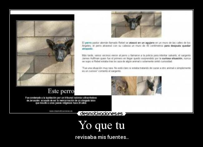 carteles fuentes putas desmotivaciones