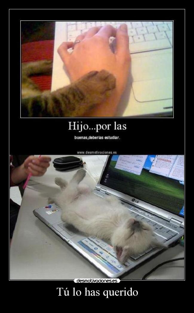 Tú lo has querido -