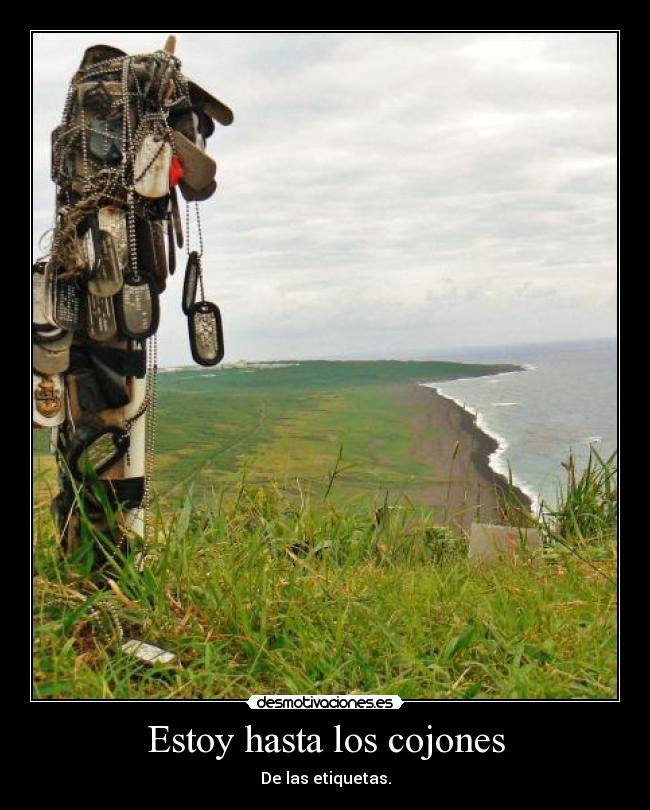 Estoy hasta los cojones -