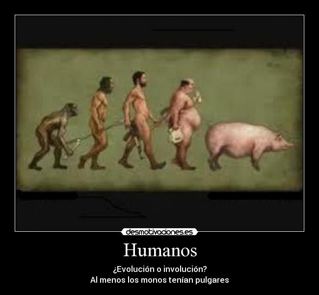 carteles creo ayamos evolucionado demasiado desmotivaciones