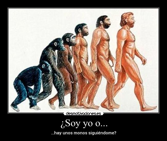 ¿Soy yo o... -