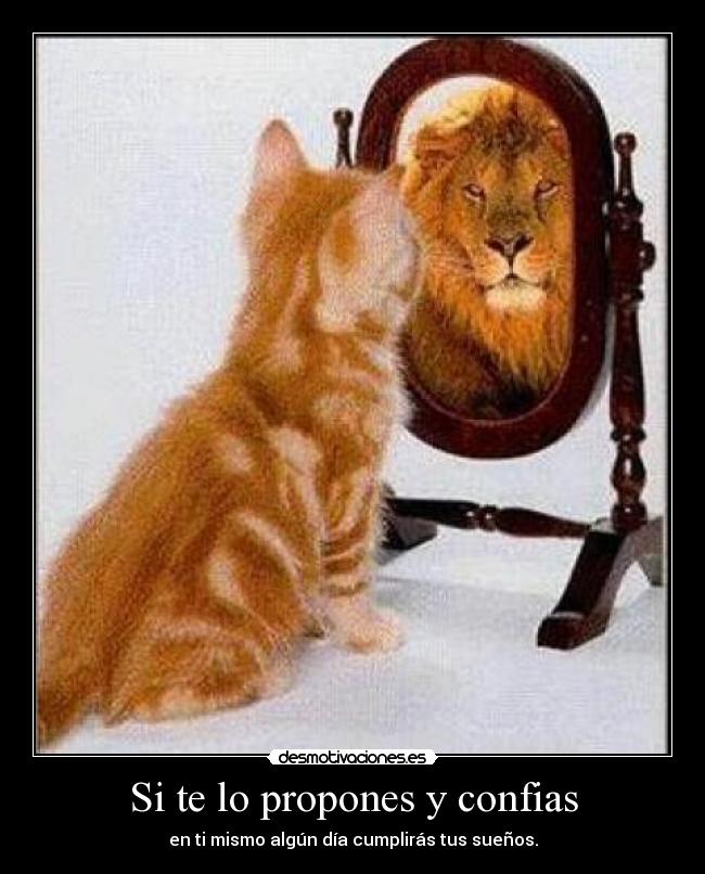 Si te lo propones y confias -