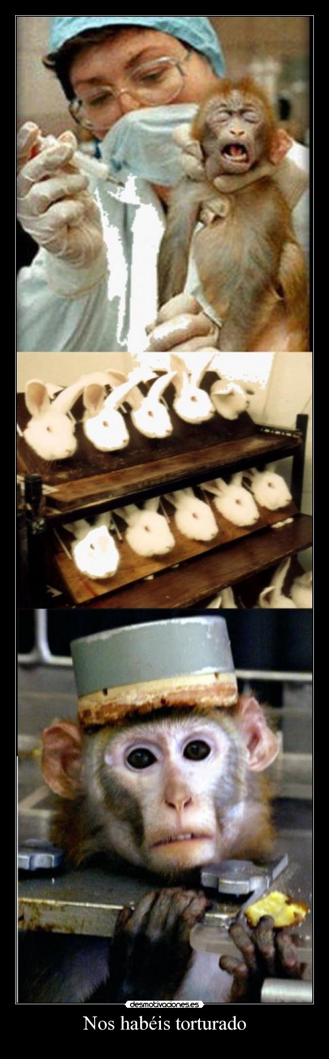 Nos habéis torturado - 