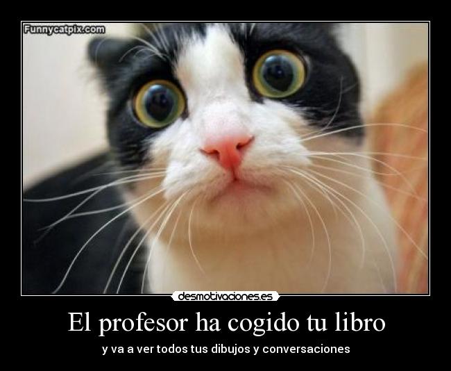 El profesor ha cogido tu libro - 