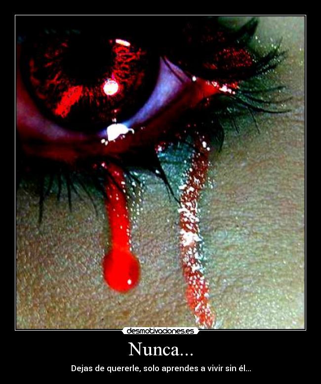 Nunca... - 
