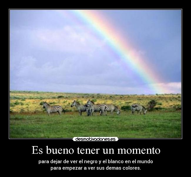 carteles desmotivaciones naturaleza animales momento motivacion desmotivaciones