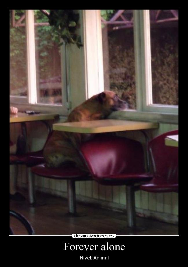 Forever alone - Nivel: Animal