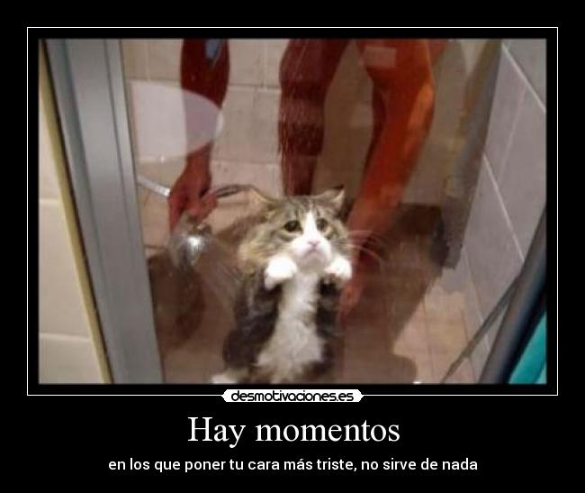 Hay momentos - en los que poner tu cara más triste, no sirve de nada