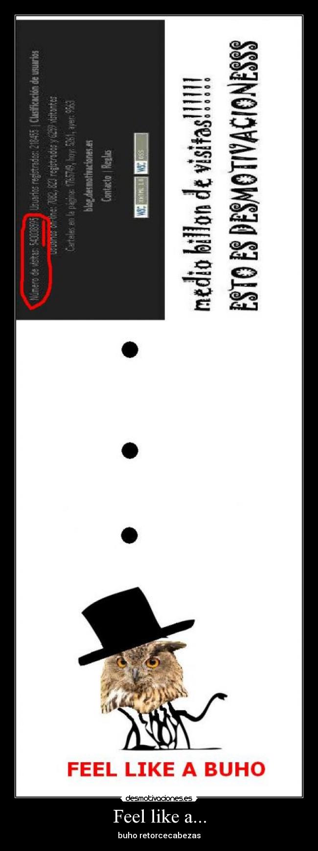 Feel like a... - buho retorcecabezas