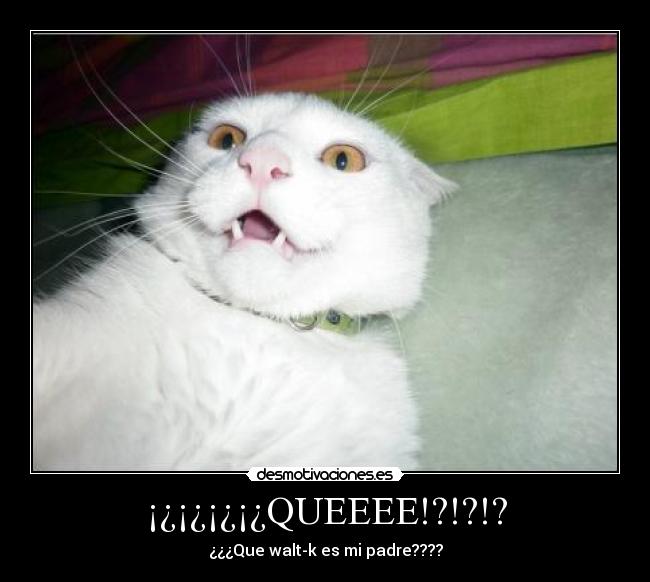 ¡¿¡¿¡¿¡¿QUEEEE!?!?!? -
